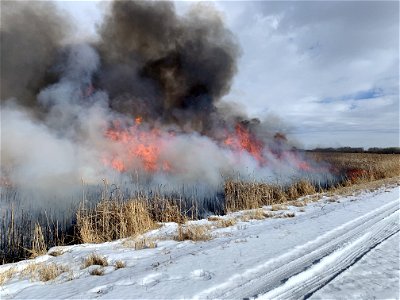 2021 USFWS Fire Employee Photo Contest Category: Fuels Management photo