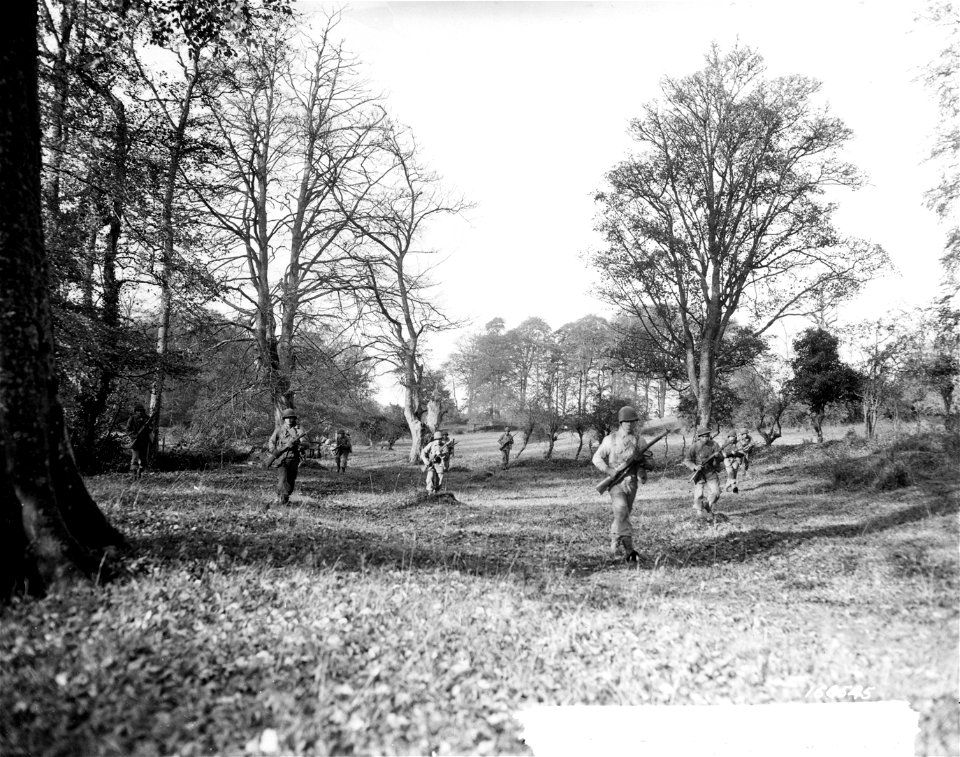 SC 166545 - Members of a scouting and patrol party advancing thru an open wood during recent battle practice in Northern Ireland. 12 November, 1942.