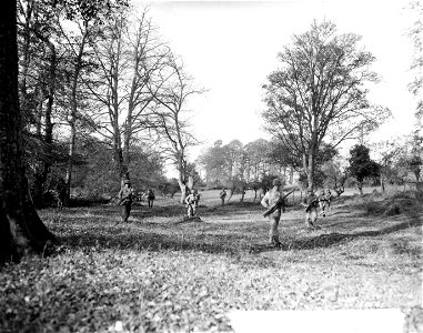 SC 166545 - Members of a scouting and patrol party advancing thru an open wood during recent battle practice in Northern Ireland. 12 November, 1942. photo