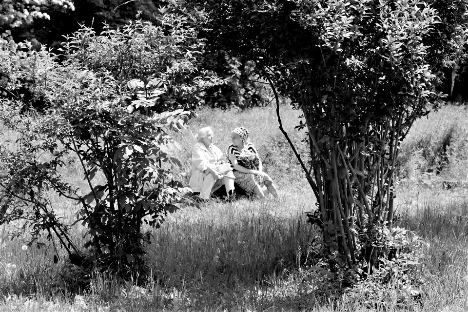 Chisinau Botanical Garden