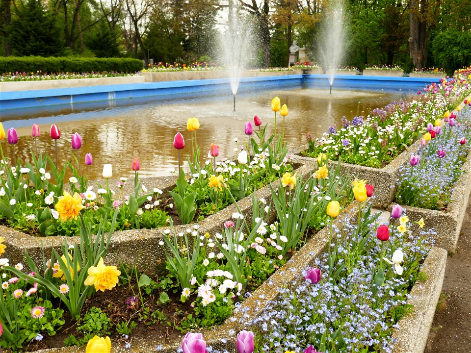 Herestrau Park in spring (110)