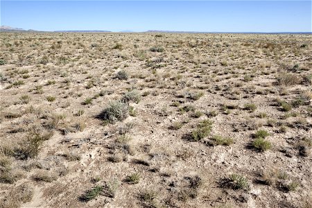 South of the Sierra Larga