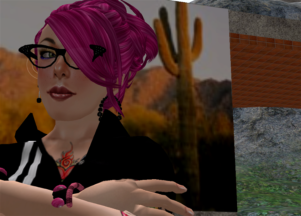 Intellagirl-ing the Virtual Desert