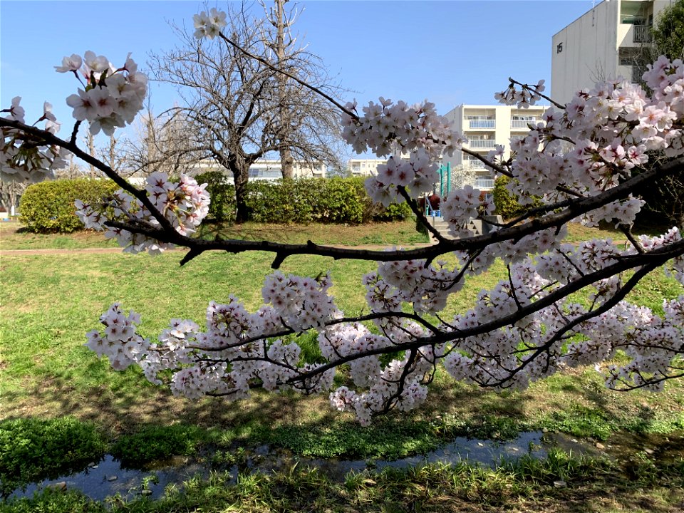 Shinyama Waterside Plaza in Higashikurume-shi
