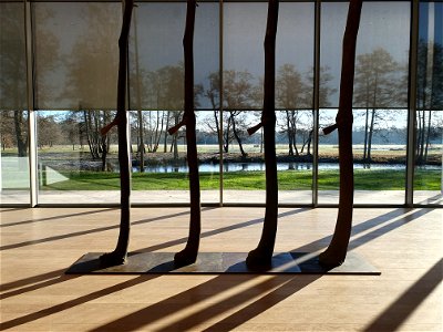 Museum Voorlinden, Giuseppe Penone