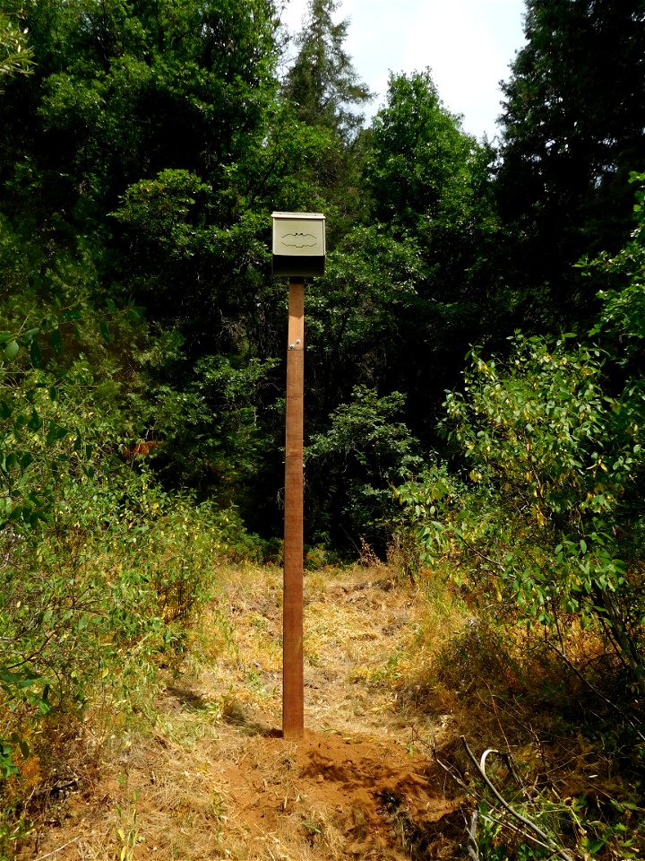 Bat House