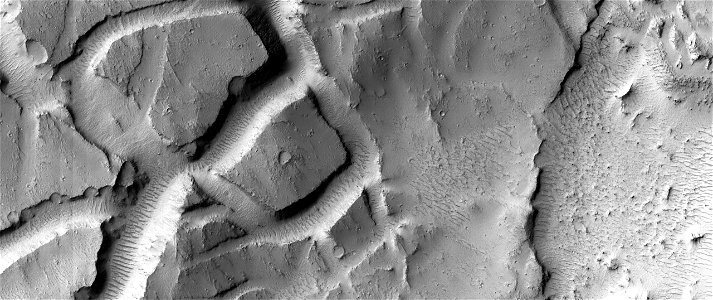 A Floor-Fractured Crater in Elysium Planitia photo