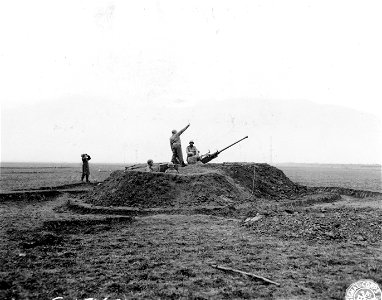 SC 184772 - Long shot of 40mm anti-aircraft gun position and crew. Venafro Sector, Italy. 20 December, 1943.