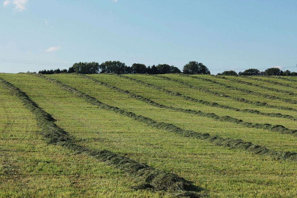 Meadow ridge arable