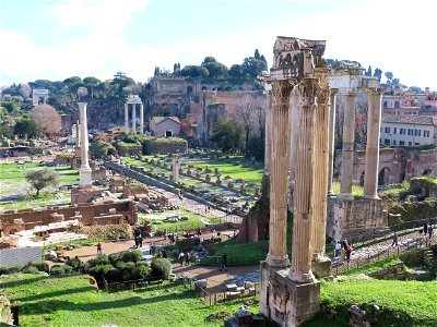 Columns In the Forum from Capitoline Museum Rome Italy