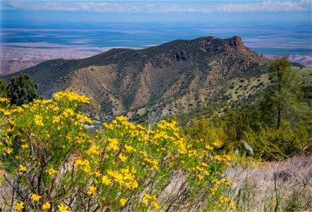 Clear Creek Management Area photo