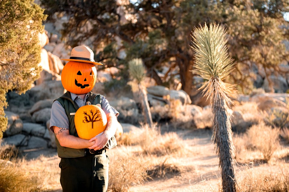 Ranger Jack O'Lantern