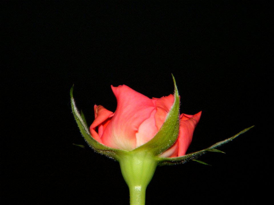 trandfmic_timelps2011_1109_062956