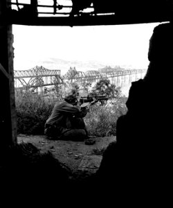 SC 348827 - Lt. Fred J. Tees, Canal Town, Pa., of Air Tactical Sq. One, 1st Marine Div., potshots at Red troops with an M1 sniper rifle. photo