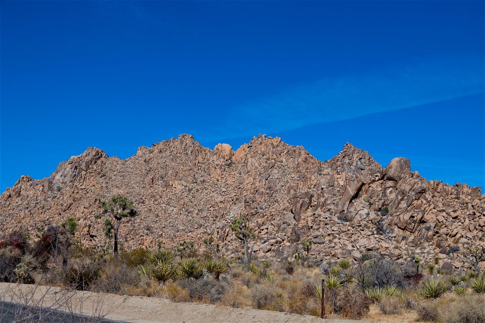 Joshua Tree National Park