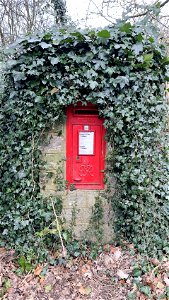 Ivy covered postbox