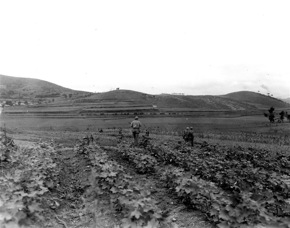 SC 348653 - Members of the 23rd RCT, 2nd Inf. Div., patrol area outside of Yongsan, Korea, against North Korean enemy troops. 16 September, 1950.