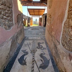 Dolphin Mosaic Casa de blondi casa of Mars and Venus Ruins Pompeii Italy