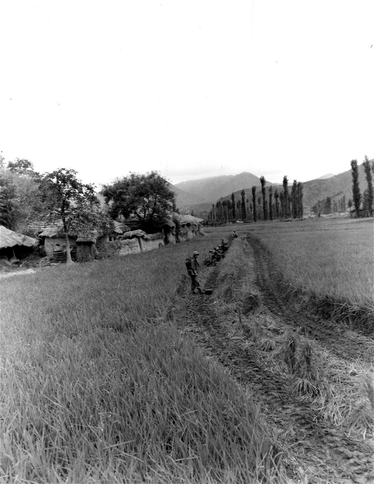SC 348651 - ROK squad, led by American soldiers, search for North Korean enemy snipers near Yongsan. 16 September, 1950.