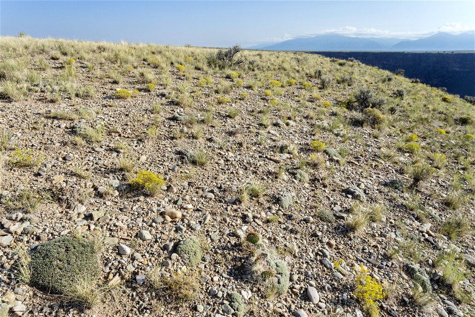 Rio Grande Canyon