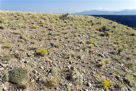Rio Grande Canyon
