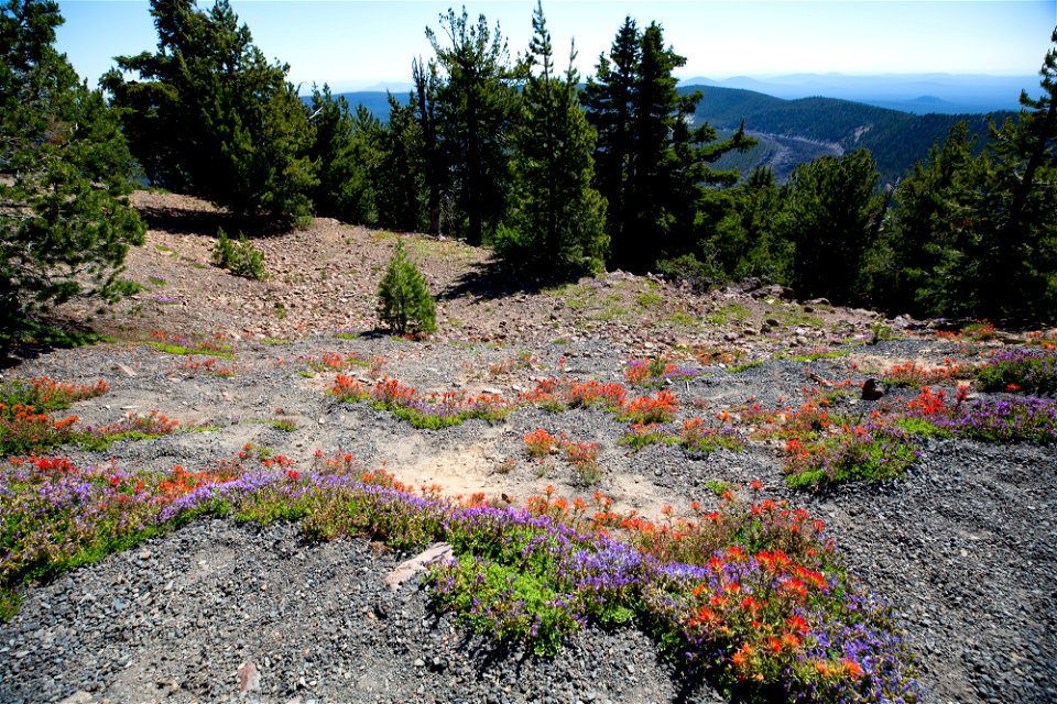 O-Deschutes Paulina Peak-5 photo