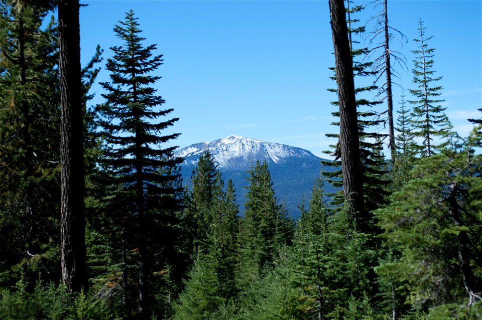 untitled-1293jpg_49385522341_o