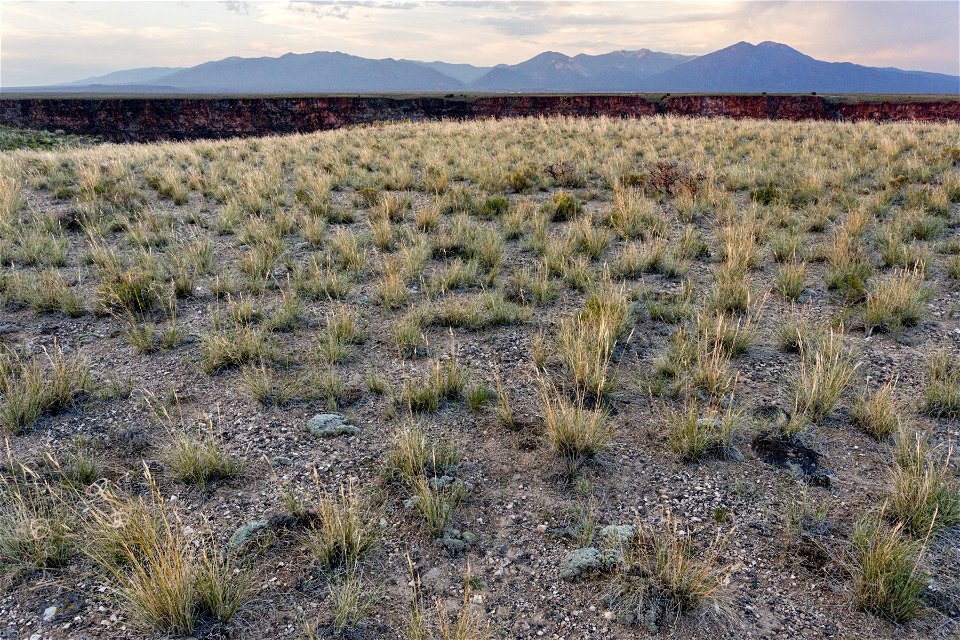 Rio Grande Canyon