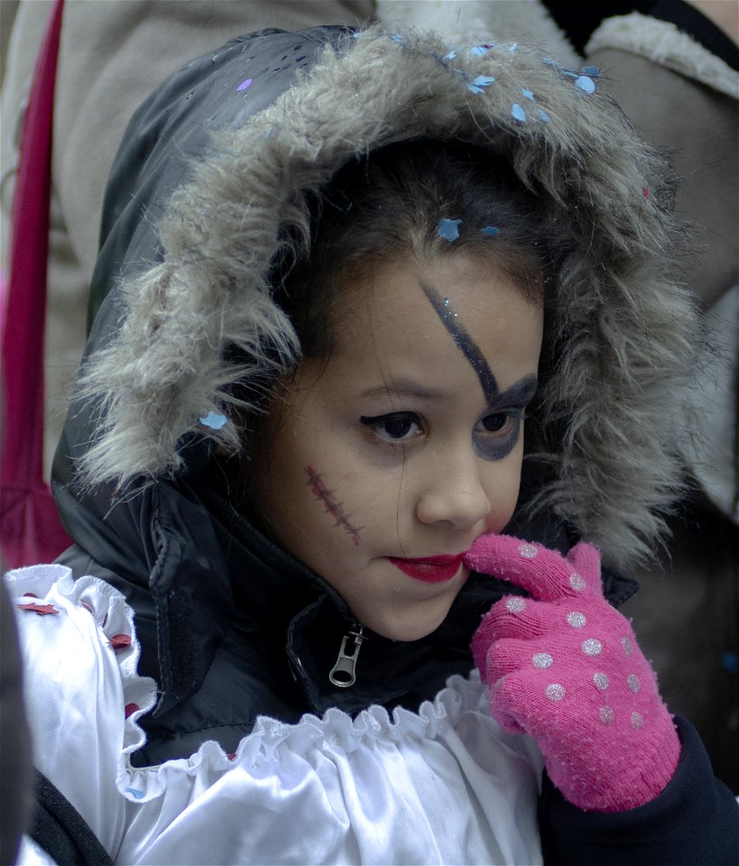 Carnaval de Berne