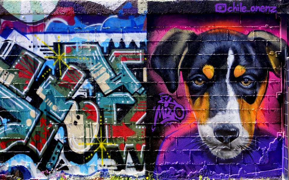 Rodrigo Rozas mural New Brighton.