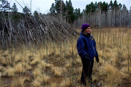 Oystershell scale mitigation field trip 12/7/21