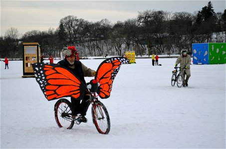 Riding Monarch Butterfly Shanty bike