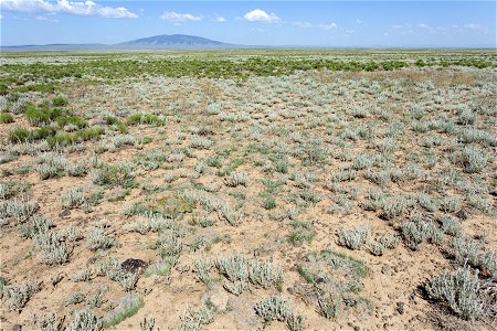 West side of the Rio Grande Canyon
