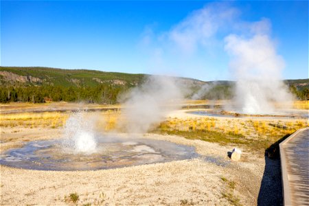 Tardy and Sawmill geysers erupting photo