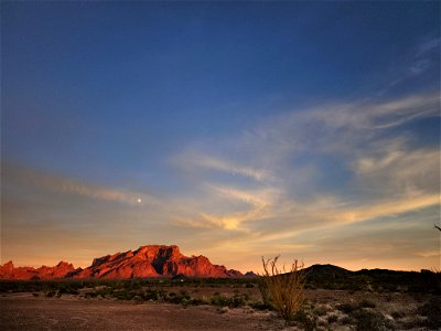 KOFA GAME RANGE , AZ (11-05-2022) -02