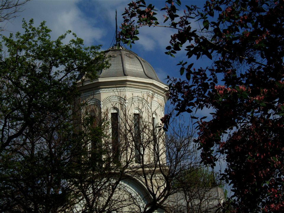 bisSfMaria2007_0415(011)