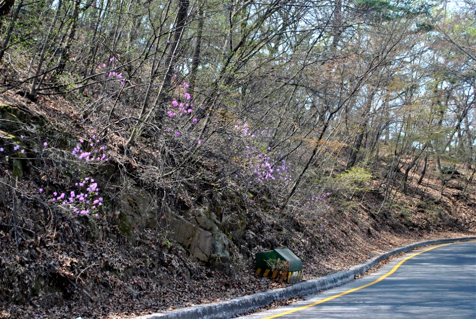 Younginsan Park Spring 2023