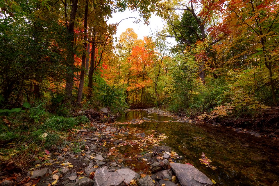 Sawmill Creek