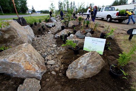 Rain Garden Installation photo