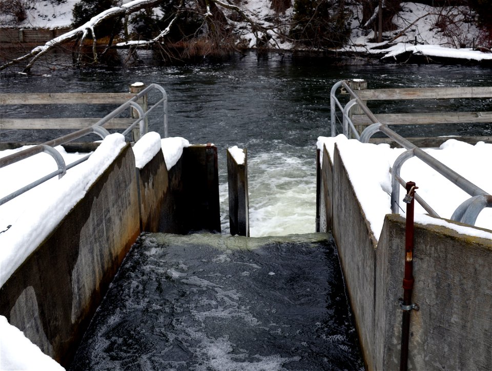 Boardman River Fish Ladder