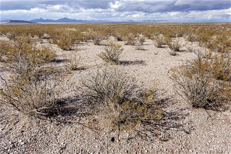 Southwest bajada of the Pyramid Mountains
