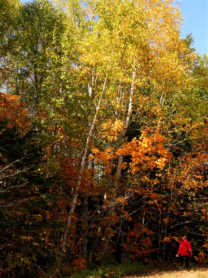 20210928-FS-Superior-SAR-014