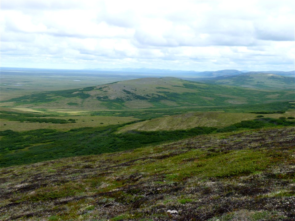 Andreafsky Wilderness