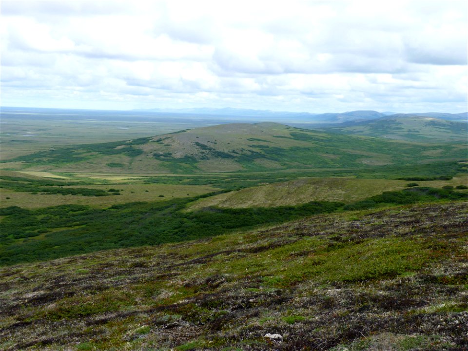 Andreafsky Wilderness photo