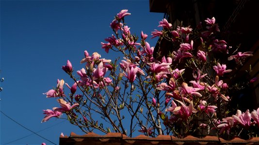 IMG_0101 photo