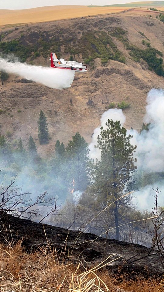 Pine Creek Fire photo