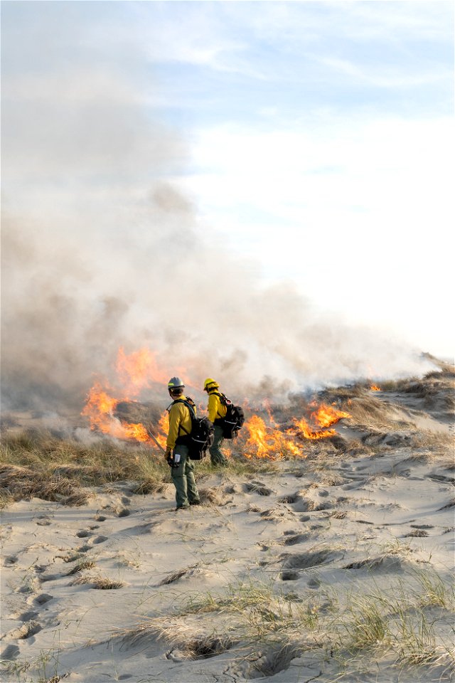 Siuslaw Oregon Dunes Prescribed Burn 2022 photo