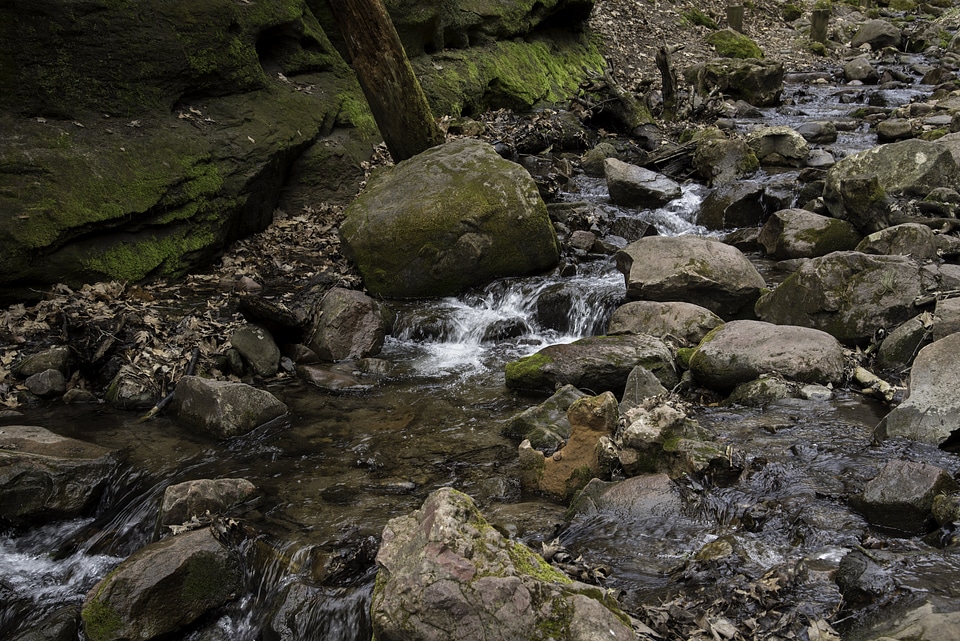 Stream Running Down the rocky creek at Parfrey's Glen, Wisconsin