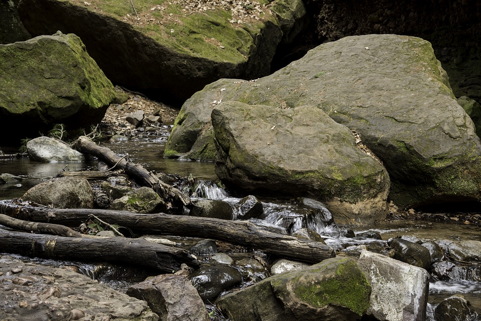 Logs, rocks, and creek at Parfrey's Glen, Wisconsin