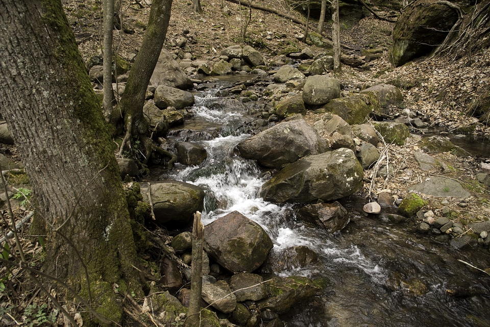 Running Stream landscape at Parfrey's Glen, Wisconsin
